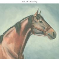 Mean - Knowing