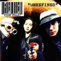 Sugar Bullet - Unrefined