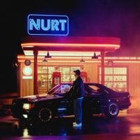 Gibbs - NURT