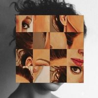 Mela Indie - Monografia