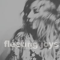 Fleeting Joys - Speeding Away to Someday