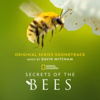 David Mitcham - Secrets of the Bees