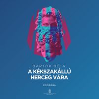 Various Artists - A K&eacute;kszak&aacute;ll&uacute; herceg v&aacute;ra
