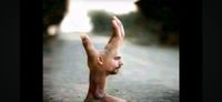 Grain - hand