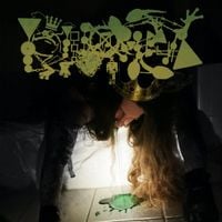 Phyllomedusa - Mince of the Frog Prince