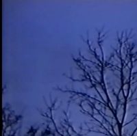 jdn. - fallen leaves pt. 1 + pt. 2