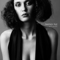 Work Drugs - Fantasy File