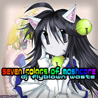 Dj Flyblown Waste - seven colors of mashcore
