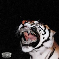 7loosey - NEW ERA
