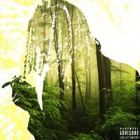 Yung Kayo - cult