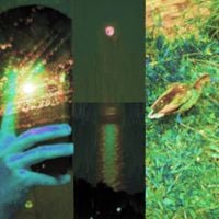 Natimo - When Our Worlds Collided