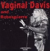 Vaginal Davis - Small Whyte House