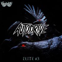Autodrive - Unit 02