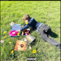 MBR - Wildflower