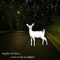 maybe it's best... - a deer in the headlights