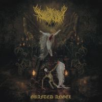 Dollhaver - Grafted Angel