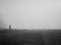 Ajna - The Strange Demeanor of Solitude