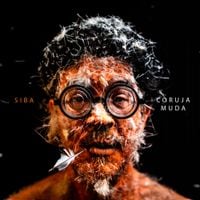Siba - Coruja Muda