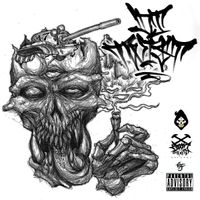 Dj Twi$t II - Domination Control