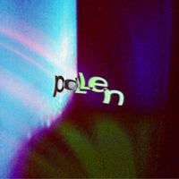 The Chain Gang of 1974 - Pollen