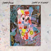 Steve Gunn - Shape of a Wave