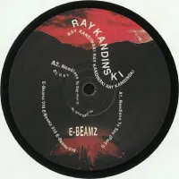 Ray Kandinski - Needless To Say