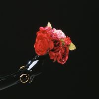 Vana - In Your Name