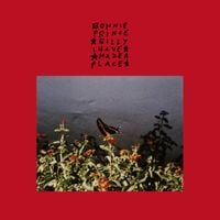 Bonnie 'Prince' Billy - I Made A Place