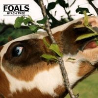 Foals - Birch Tree