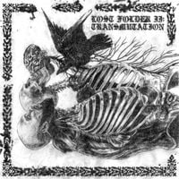 RNZ - Lost Folder II: Transmutation