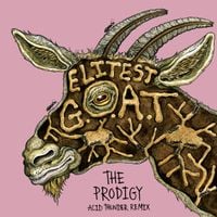 Sleaford Mods - Elitest G.O.A.T. (The Prodigy Acid Thunder Mix)