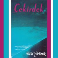 Grup &Ccedil;ekirdek - Siste Y&uuml;r&uuml;mek