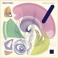 Rubin Steiner - What Would Brian Eno Have Done ?