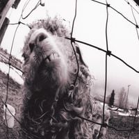 Pearl Jam - Vs. (Expanded Edition)