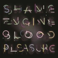 Health&Beauty - Shame Engine / Blood Pleasure