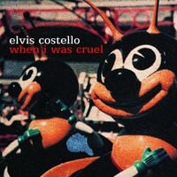 Elvis Costello - When I Was Cruel