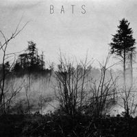 Dye By The Sword - Bats