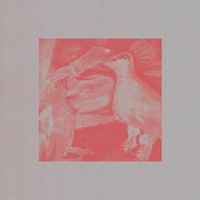 SPIVAK - Imogen's Lament