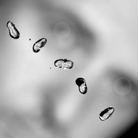 Peter Gabriel - Up