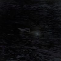 Nitchi - Salmon Song