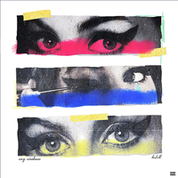 DesiKidd - amy winehouse