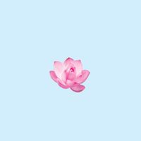 Domknowz - Its A Lofi
