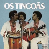 Os Tinco&atilde;s - Os Tinco&atilde;s