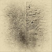 Fletina - Terrow
