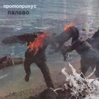 Протоприкус - Палево