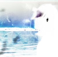 Buddywudd - A Meaningful Life / A Meaningful World