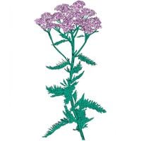 Patricia Wolf - Music To Watch Seeds Grow By 009: Patricia Wolf (Yarrow)