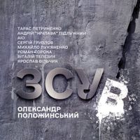Олександр Положинський - ЗСУВ