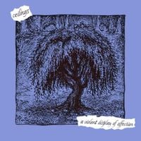 ceilings - a violent display of affection