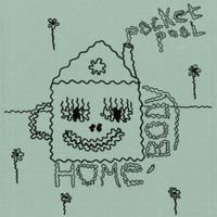 Pocket Pool - Homebody